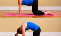 Yoga for Chronic Fatigue: Cat Pose