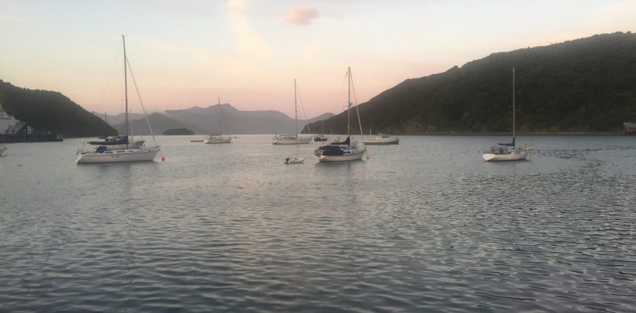 What I learnt from mindfulness in 2019